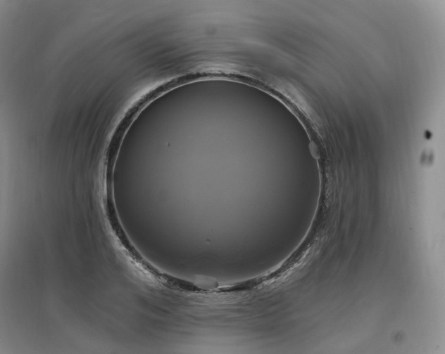 X0000097510984200802221503