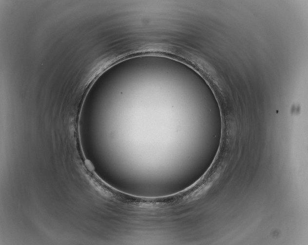 X0000097510985200802221503