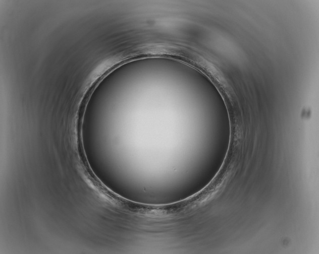 X0000097510986200802221503