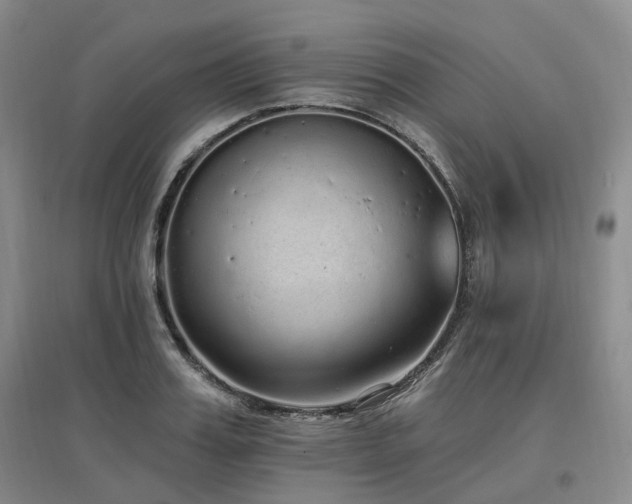 X0000097510987200802221503