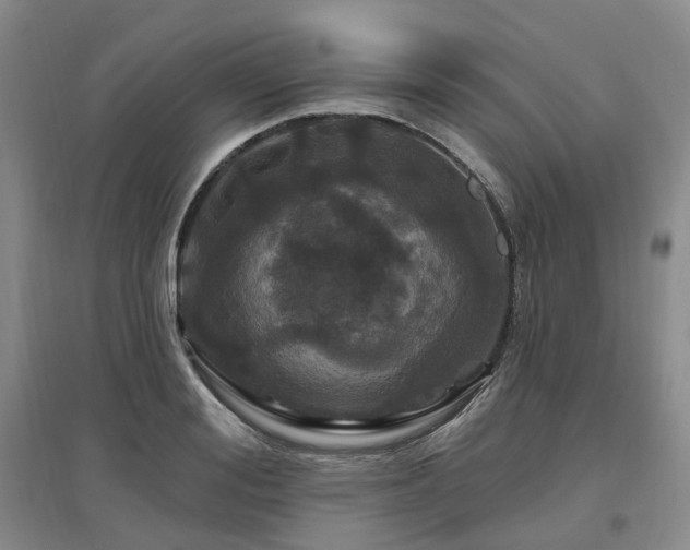 X0000097510988200802221503