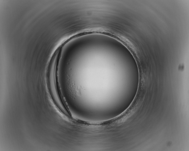 X0000097510989200802221503
