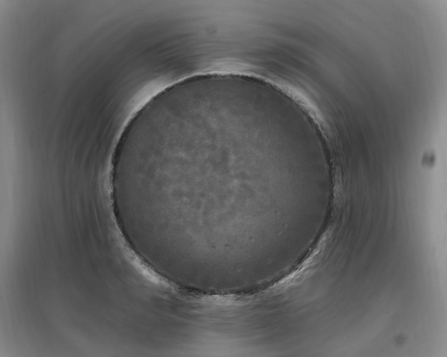X0000097510990200802221503