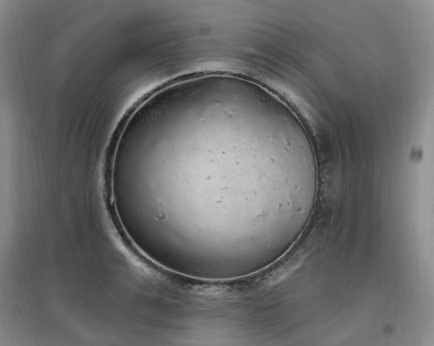 X0000097510991200802221503