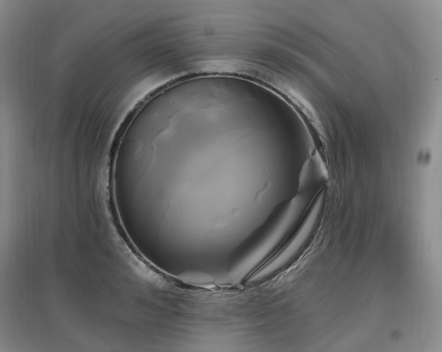 X0000097510992200802221503