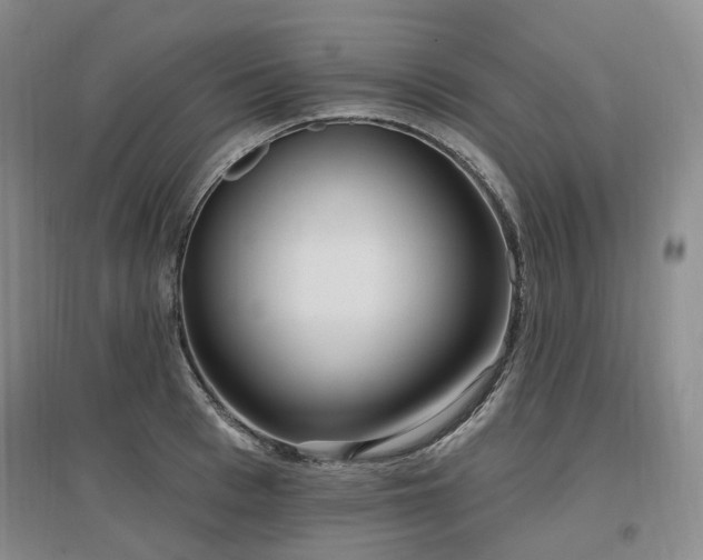 X0000097510993200802221503