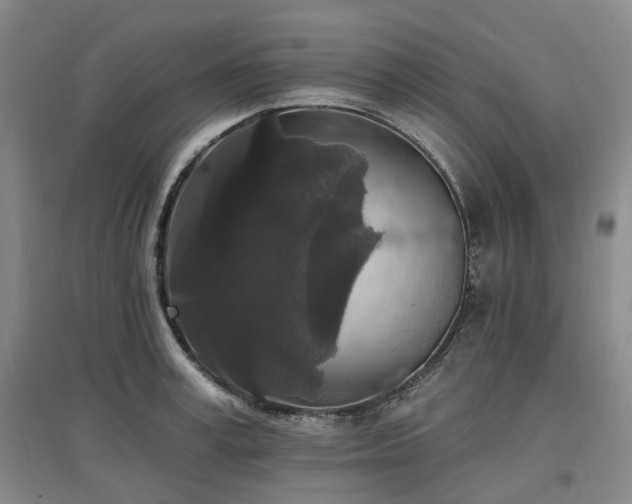 X0000097510995200802221503