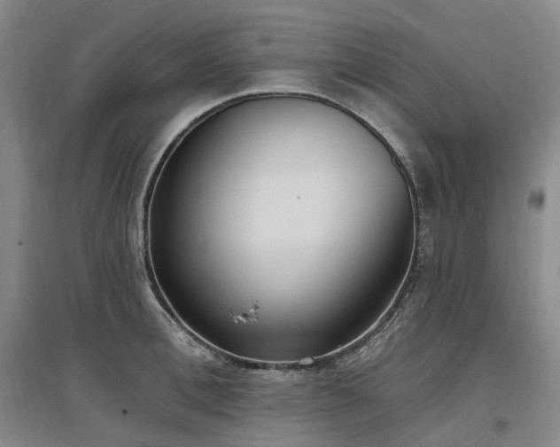X0000097510996200802221503