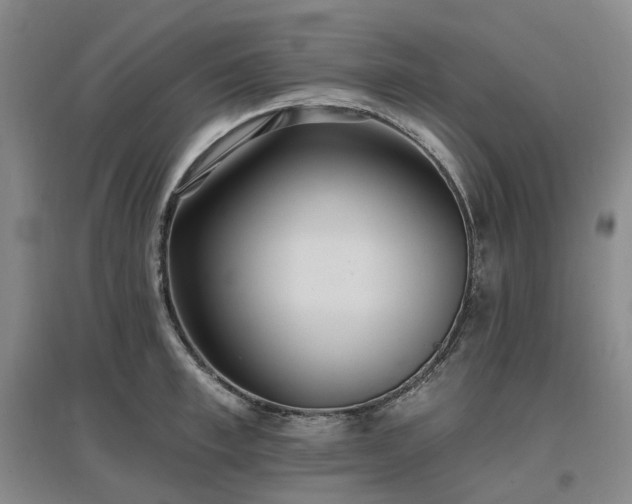 X0000097510997200802221503