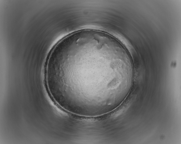 X0000097510999200802221502