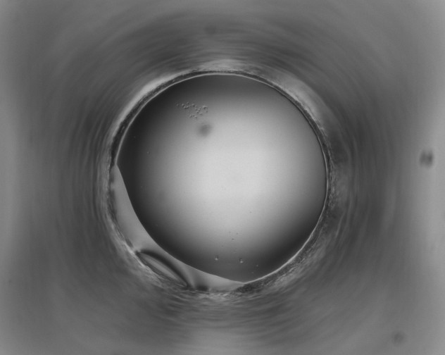 X0000097511000200802221502