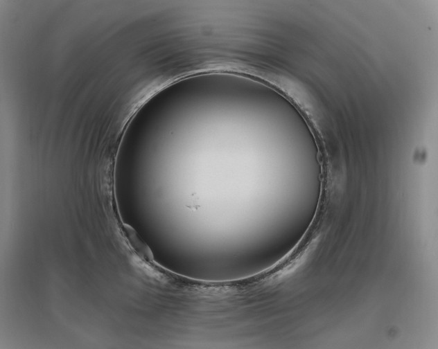 X0000097511001200802221502
