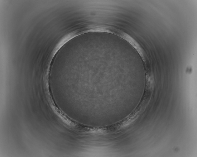 X0000097511002200802221502
