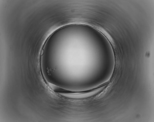 X0000097511004200802221502