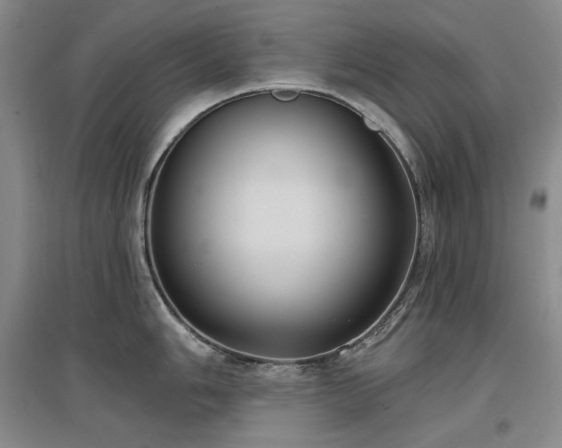 X0000097511006200802221502