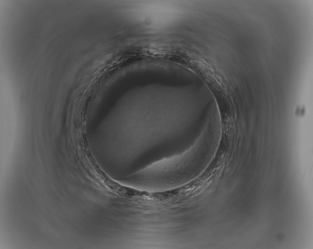 X0000097511009200802221502