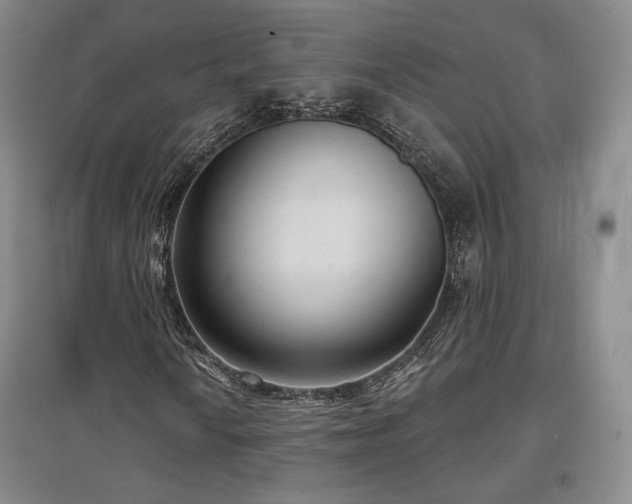 X0000097511010200802221502