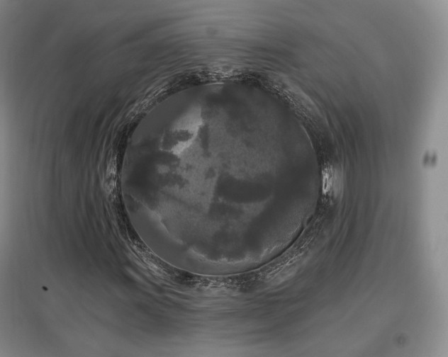 X0000097511011200802221502