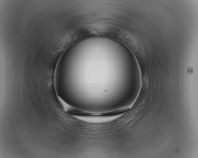 X0000097511012200802221502