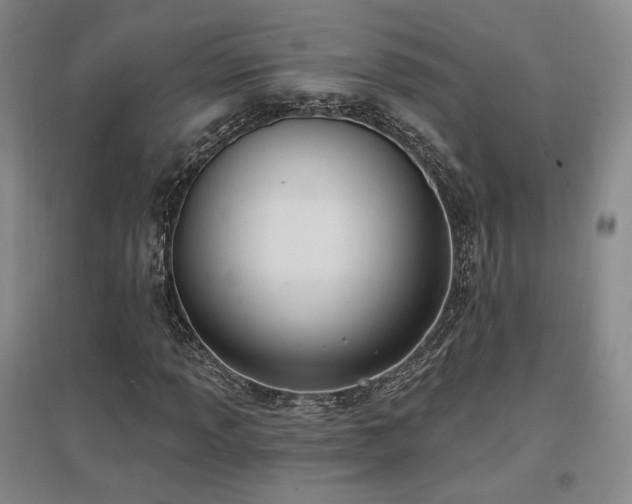 X0000097511013200802221502