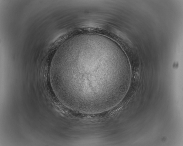 X0000097511014200802221502