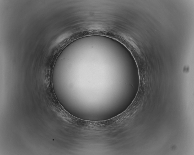 X0000097511015200802221502