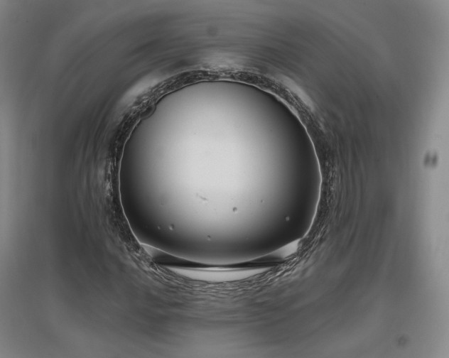 X0000097511016200802221502
