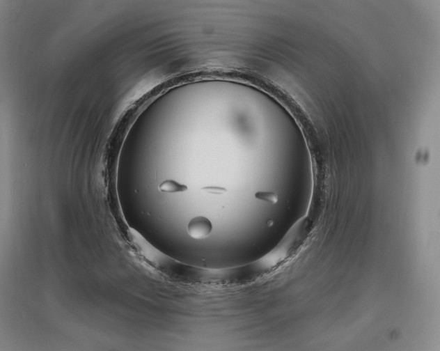 X0000097511018200802221502