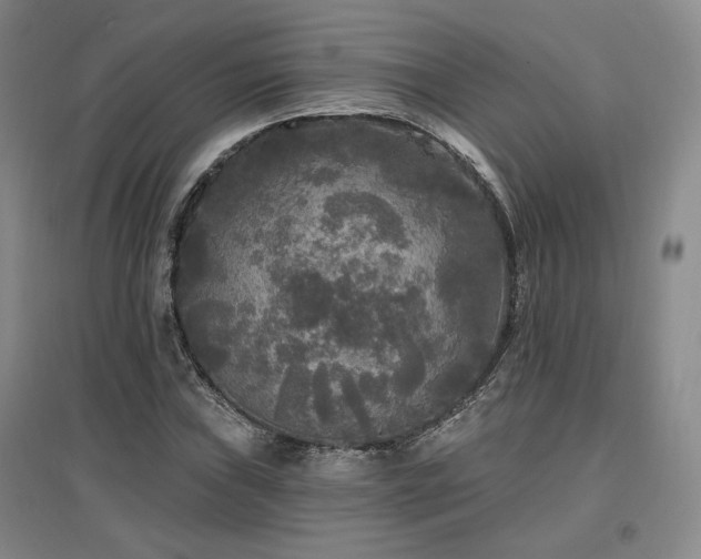 X0000097511019200802221502