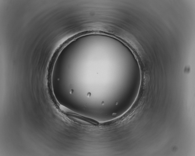 X0000097511020200802221502