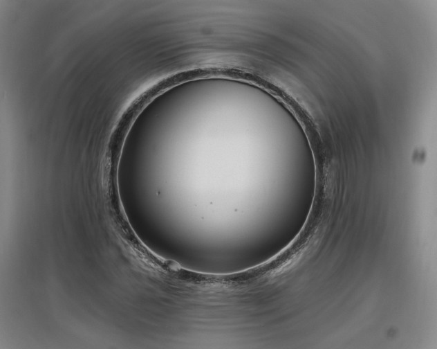 X0000097511021200802221502