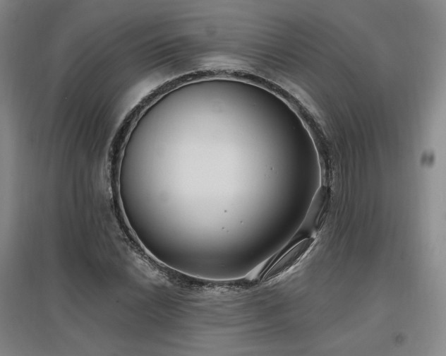 X0000097511022200802221502