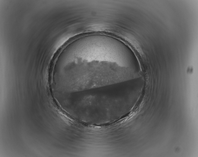 X0000097511023200802221502