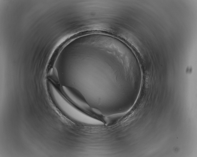 X0000097511024200802221502
