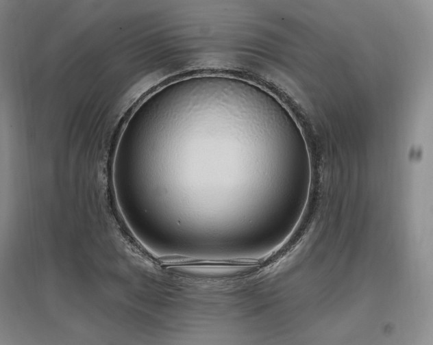 X0000097511025200802221502