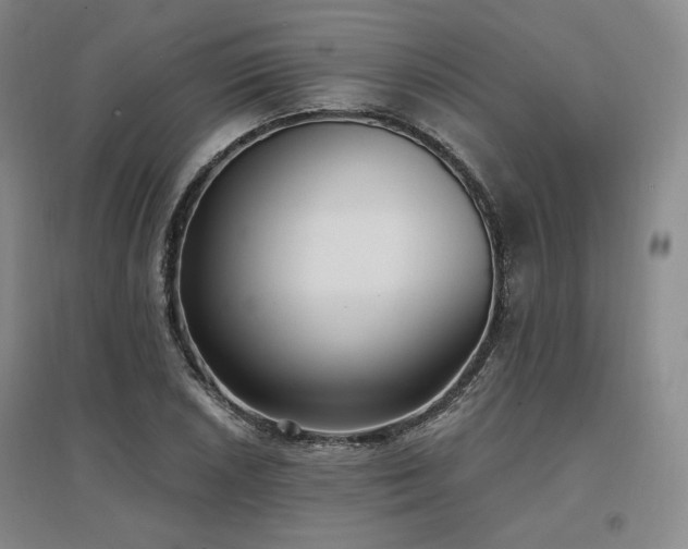 X0000097511026200802221502
