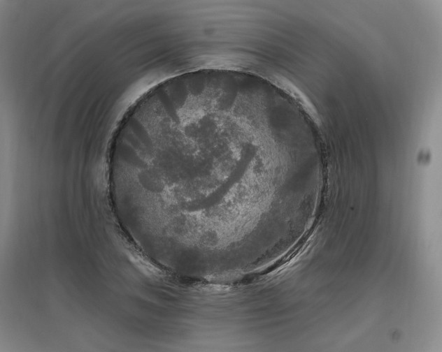 X0000097511027200802221502