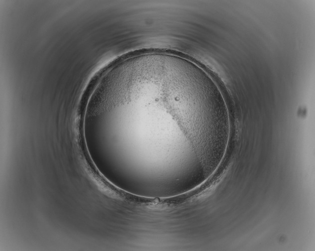 X0000097511029200802221502