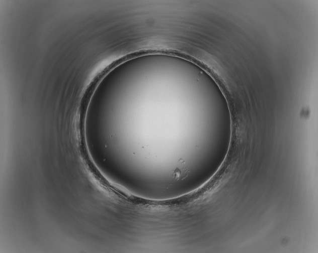 X0000097511030200802221502