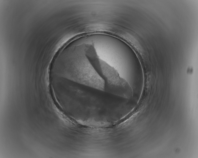 X0000097511031200802221502