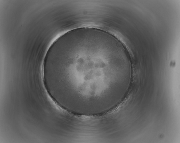 X0000097511032200802221502