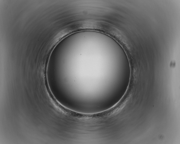 X0000097511033200802221502