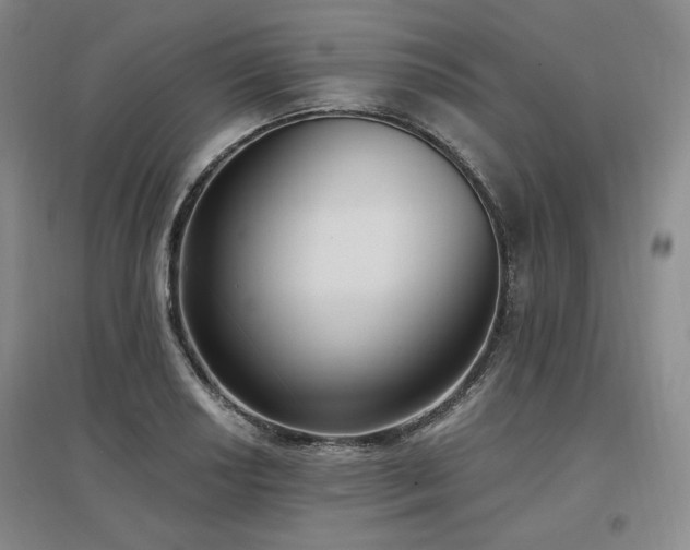 X0000097511034200802221502