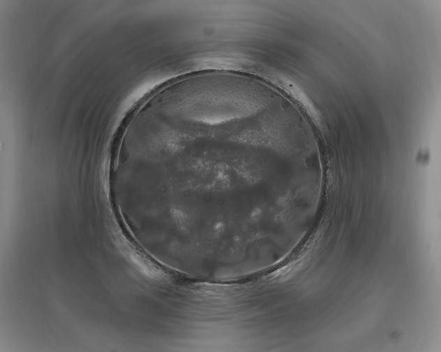 X0000097511035200802221502