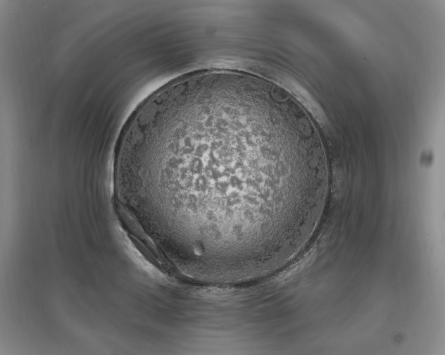 X0000097511036200802221502