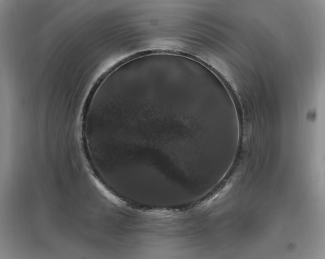 X0000097511037200802221502