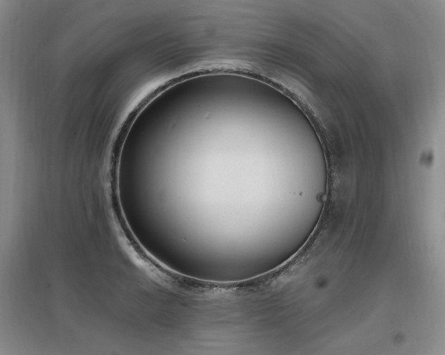 X0000097511038200802221502