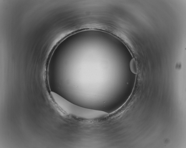 X0000097511040200802221502