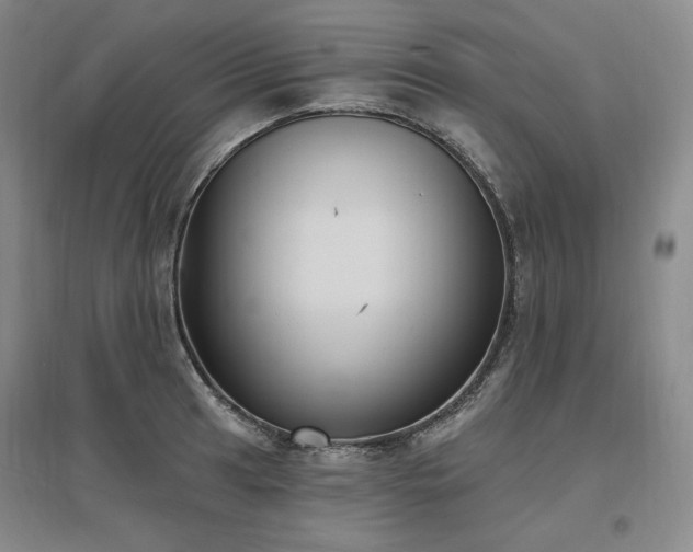 X0000097511041200802221502