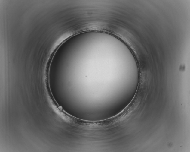 X0000097511042200802221502